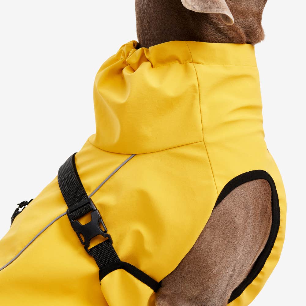 Cyclone Dog Jacket