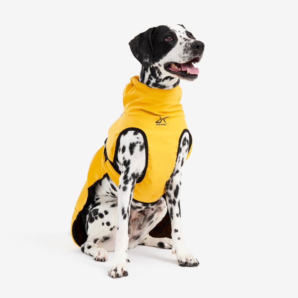 Cyclone Dog Jacket