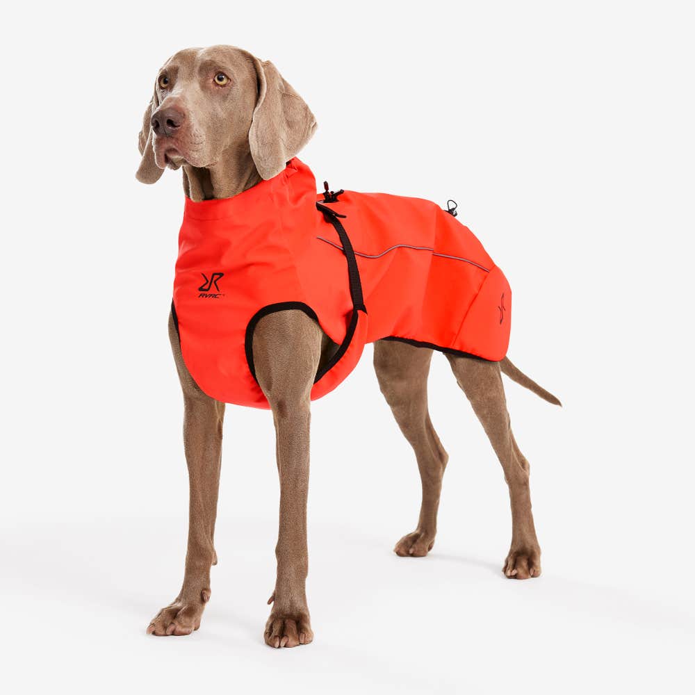 Cyclone Dog Jacket