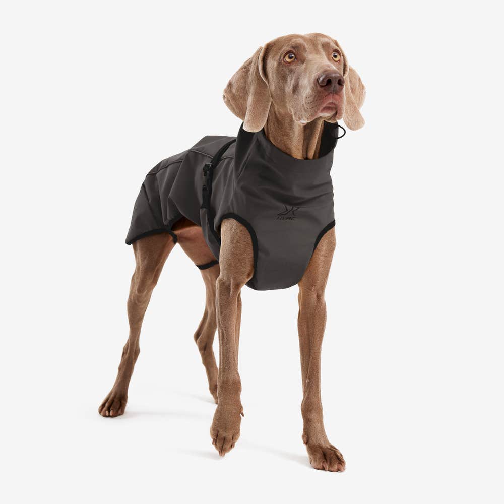 Cyclone Dog Jacket