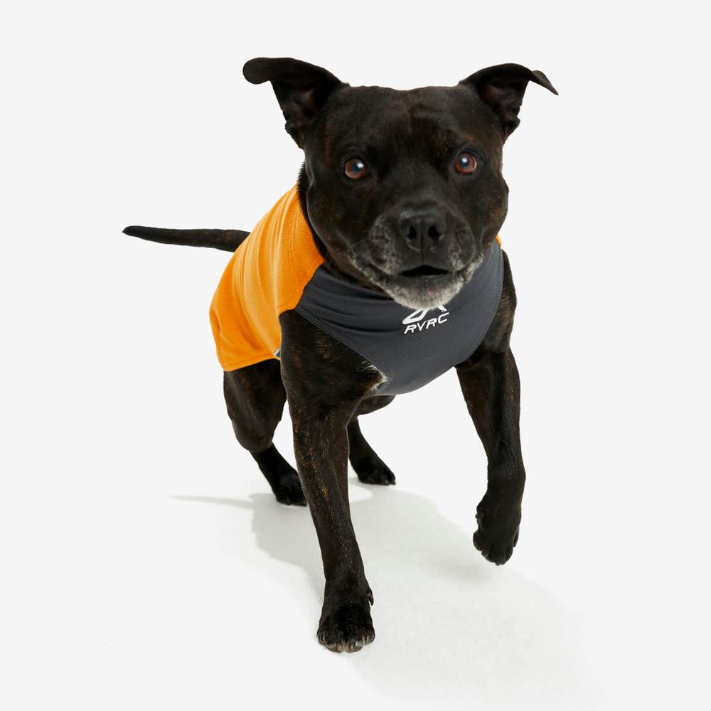 Trekker Fleece