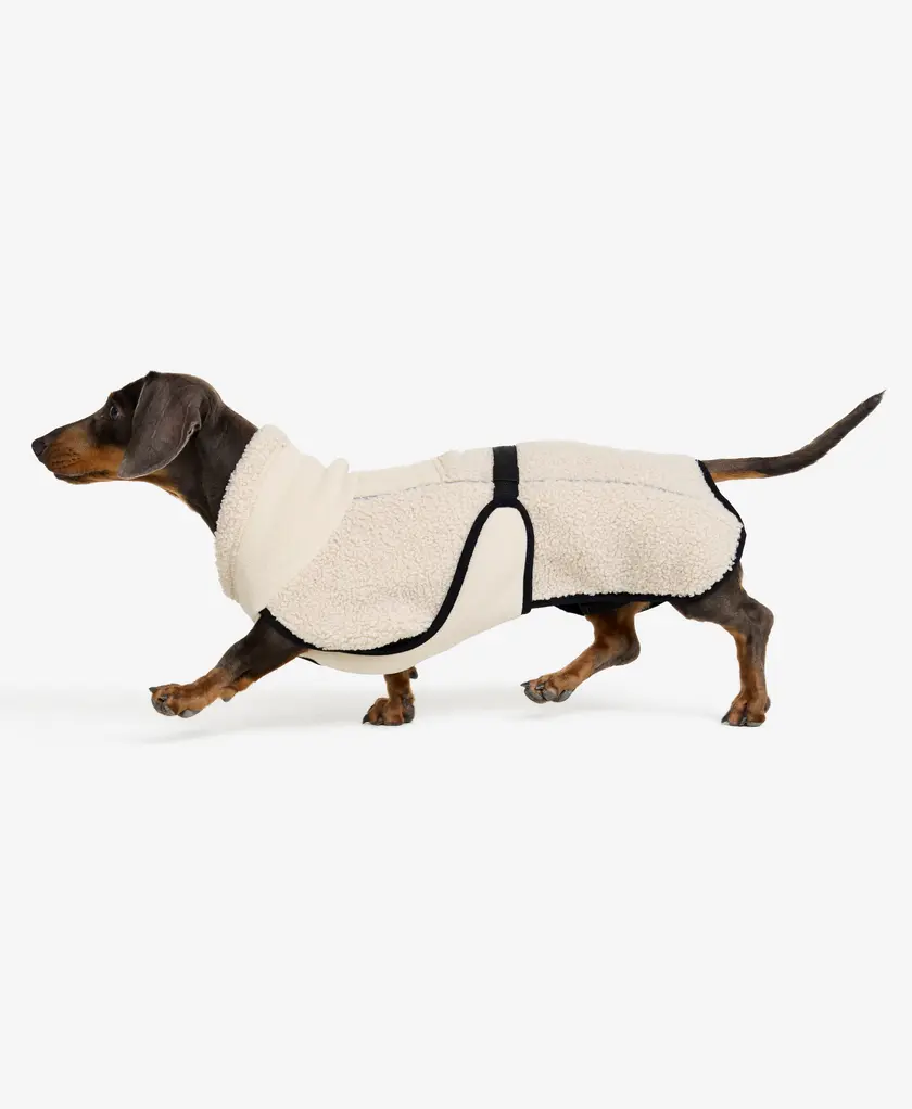 Bigfoot Dog Jacket Dog