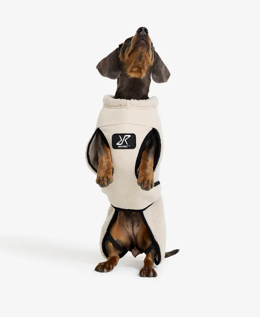 Bigfoot Dog Jacket Dog