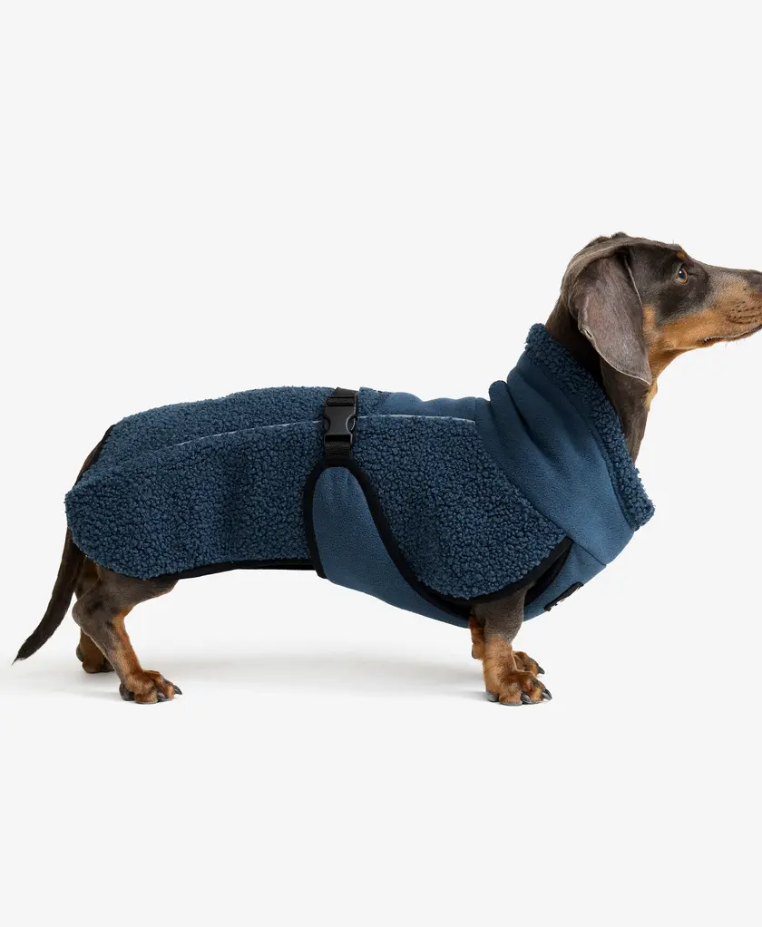 Bigfoot Dog Jacket Dog