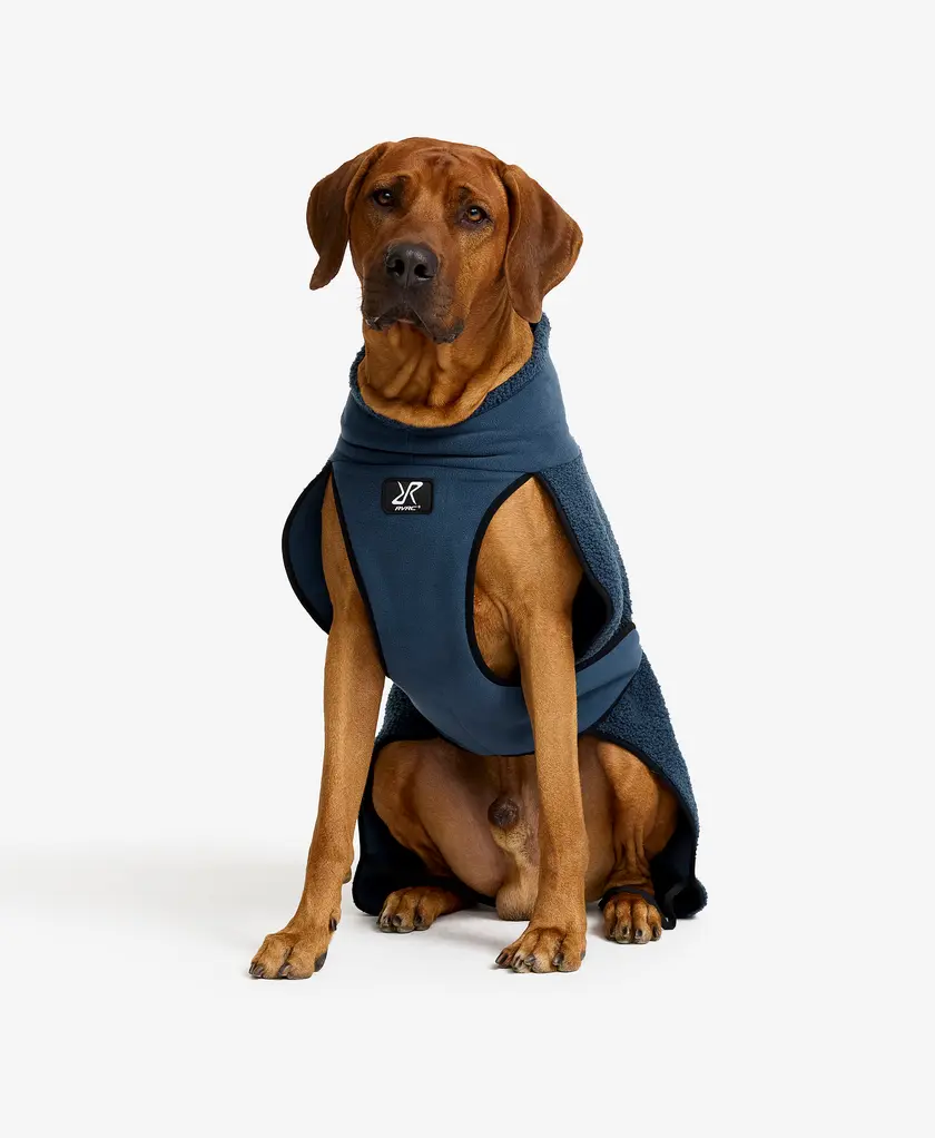 Bigfoot Dog Jacket Dog